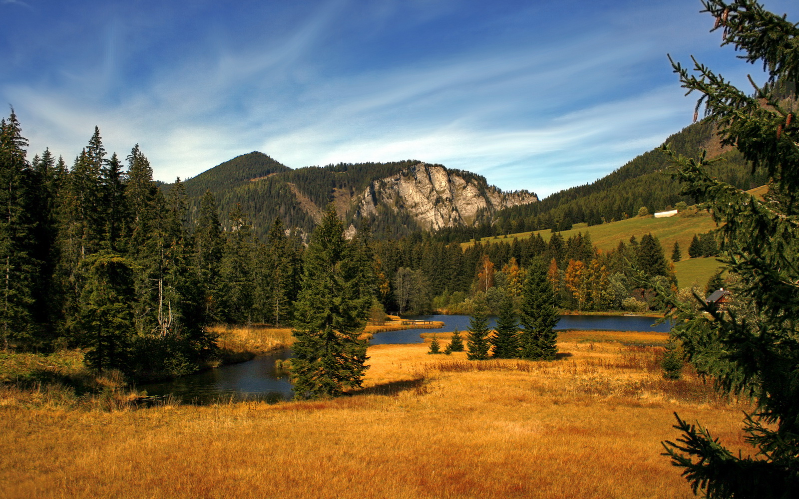 卡瓦哈尔一锤定音，里昂血拼塞维利亚诠释足球的残酷美学