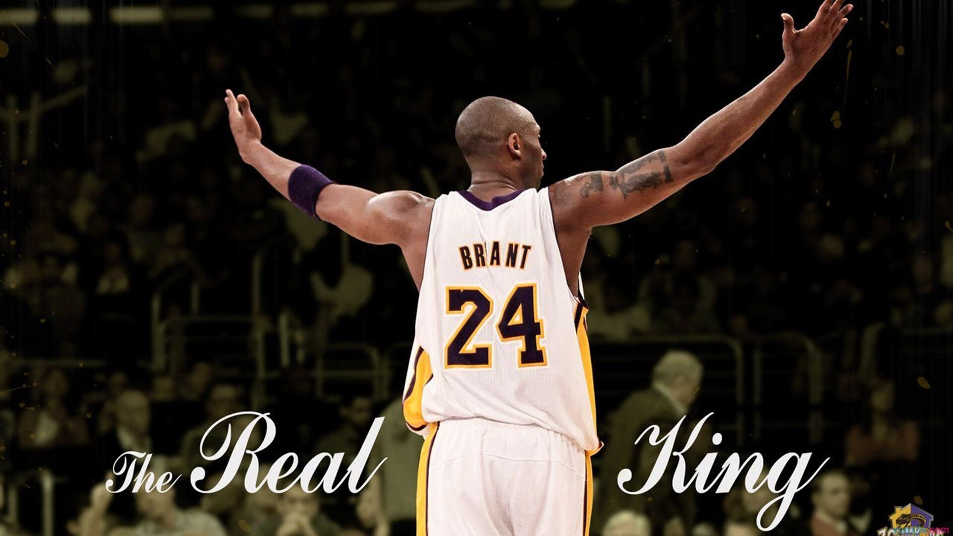 绝杀之夜，林高远扛起全队的旗帜—波兰队逆转瑞典队的背后